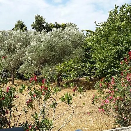 La Marina Gardens