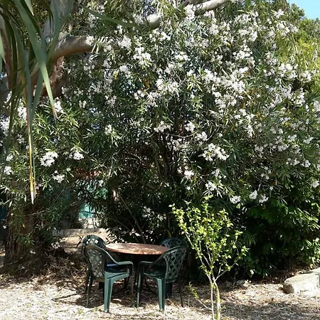 公寓 La Marina Gardens