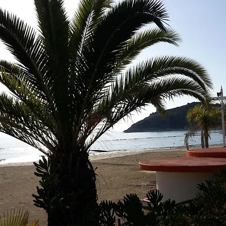 La Marina Gardens *
